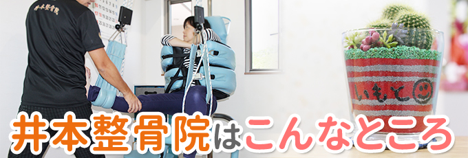 井本整骨院はこんなところ